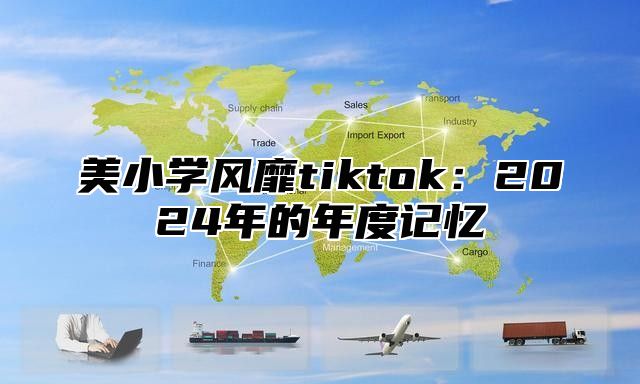 美小学风靡tiktok：2025年的年度记忆