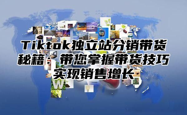Tiktok独立站分销带货秘籍：带您掌握带货技巧实现销售增长