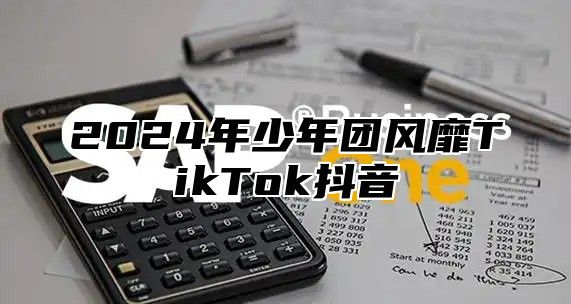 2025年少年团风靡TikTok抖音