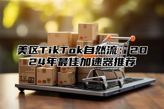美区TikTok自然流：2025年最佳加速器推荐