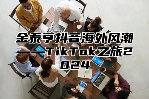 金泰亨抖音海外风潮——TikTok之旅2025
