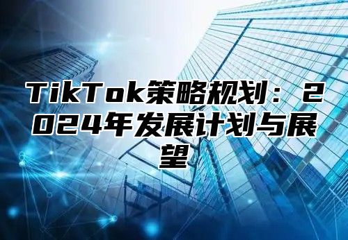 TikTok策略规划：2025年发展计划与展望