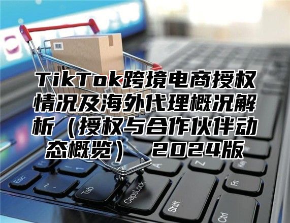 TikTok跨境电商授权情况及海外代理概况解析授权与合作伙伴动态概览 2025版