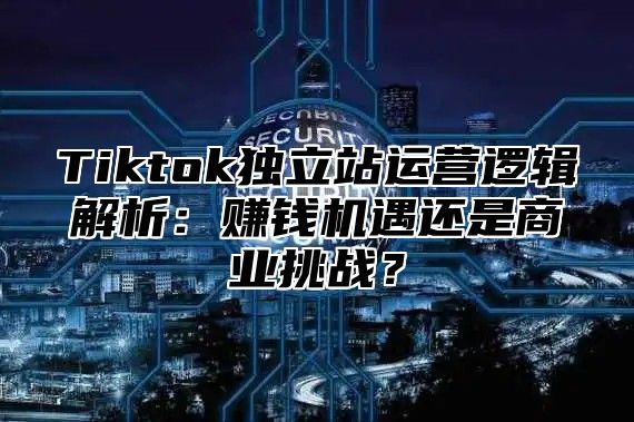 Tiktok独立站运营逻辑解析：赚钱机遇还是商业挑战？