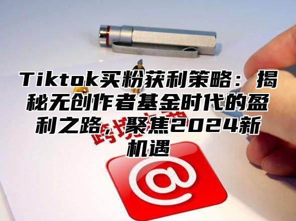Tiktok买粉获利策略：揭秘无创作者基金时代的盈利之路，聚焦2025新机遇