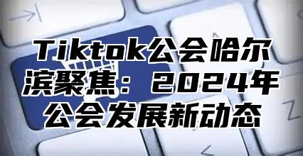 Tiktok公会哈尔滨聚焦：2025年公会发展新动态