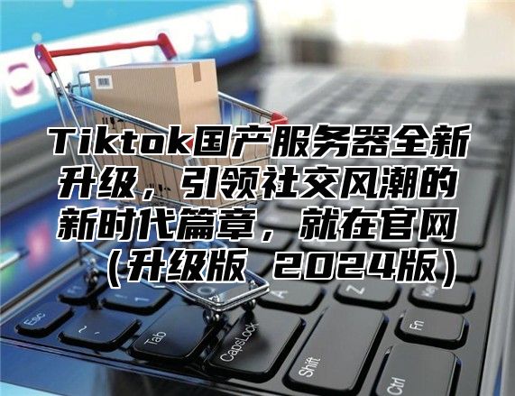 Tiktok国产服务器全新升级，引领社交风潮的新时代篇章，就在官网升级版 2025版