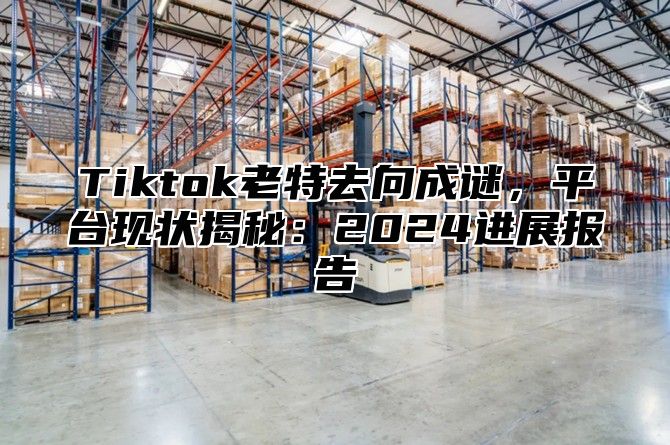 Tiktok老特去向成谜，平台现状揭秘：2025进展报告