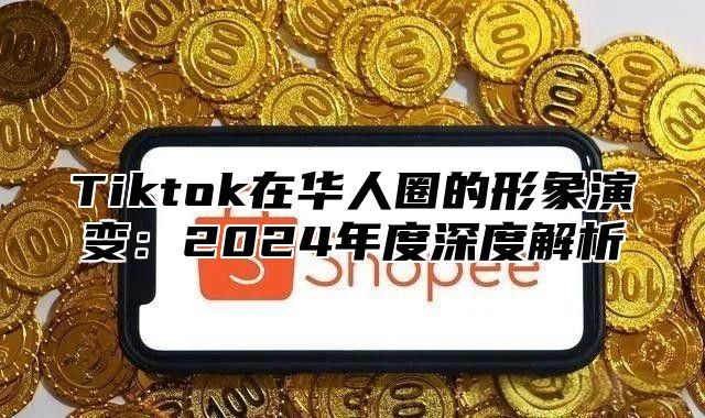 Tiktok在华人圈的形象演变：2025年度深度解析
