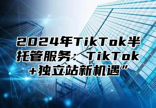 2025年TikTok半托管服务：TikTok+独立站新机遇”