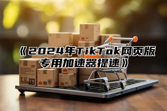 2025年TikTok网页版专用加速器提速