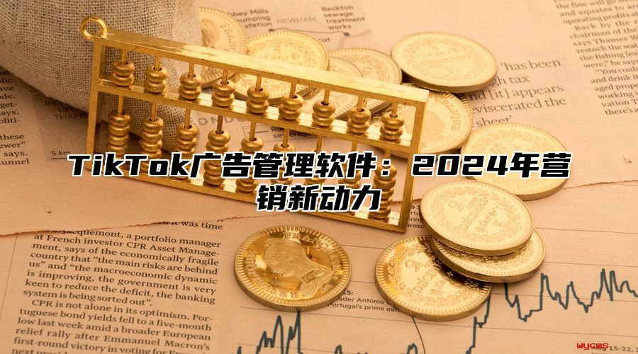 TikTok广告管理软件：2025年营销新动力