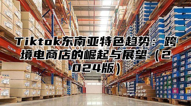 Tiktok东南亚特色趋势：跨境电商店的崛起与展望2025版