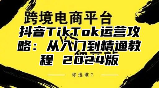 抖音TikTok运营攻略：从入门到精通教程 2025版