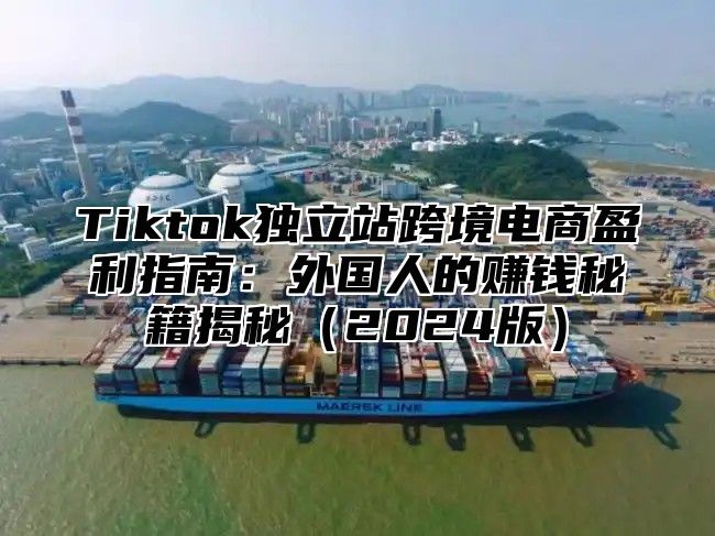 Tiktok独立站跨境电商盈利指南：外国人的赚钱秘籍揭秘2025版