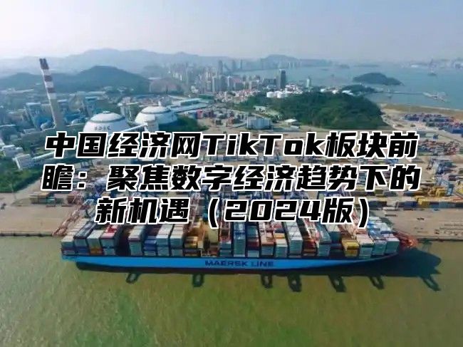 中国经济网TikTok板块前瞻：聚焦数字经济趋势下的新机遇2025版