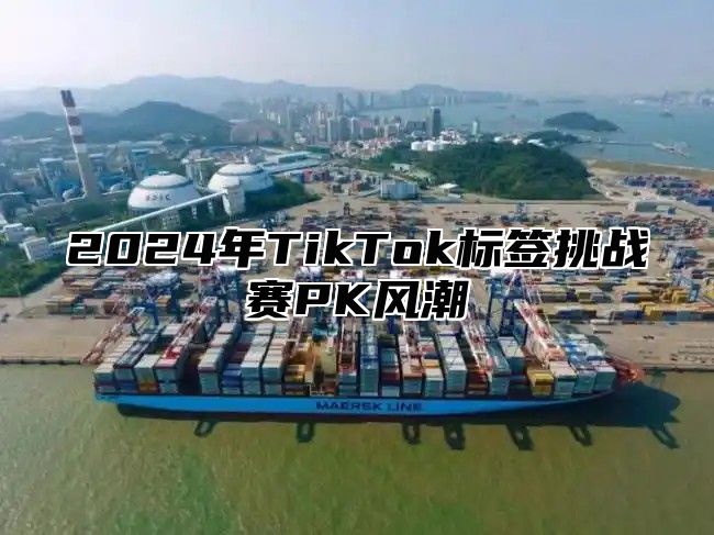 2025年TikTok标签挑战赛PK风潮