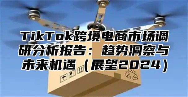 TikTok跨境电商市场调研分析报告：趋势洞察与未来机遇展望2025