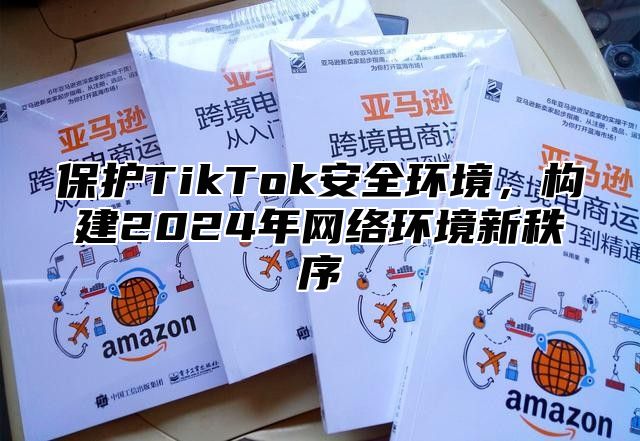 保护TikTok安全环境，构建2025年网络环境新秩序