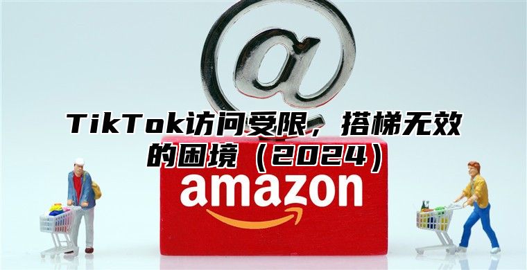TikTok访问受限，搭梯无效的困境2025