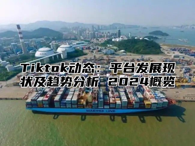 Tiktok动态：平台发展现状及趋势分析 2025概览