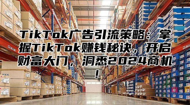 TikTok广告引流策略：掌握TikTok赚钱秘诀，开启财富大门，洞悉2025商机！