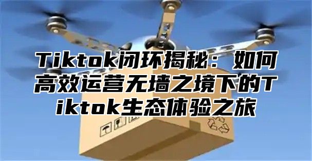 Tiktok闭环揭秘：如何高效运营无墙之境下的Tiktok生态体验之旅