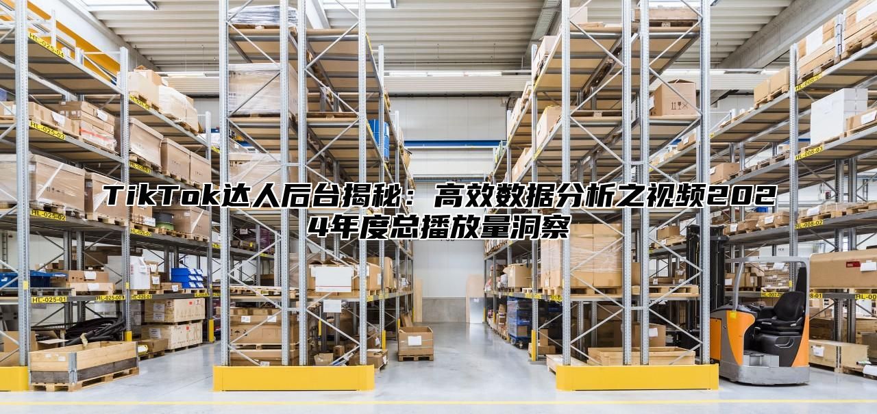 TikTok达人后台揭秘：高效数据分析之视频2025年度总播放量洞察