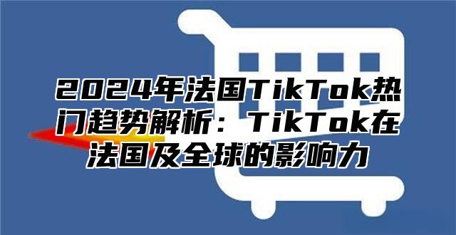 2025年法国TikTok热门趋势解析：TikTok在法国及全球的影响力