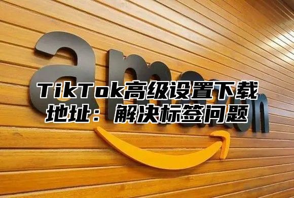 TikTok高级设置下载地址：解决标签问题