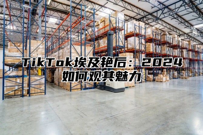 TikTok埃及艳后：2025如何观其魅力