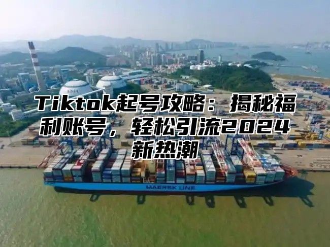 Tiktok起号攻略：揭秘福利账号，轻松引流2025新热潮