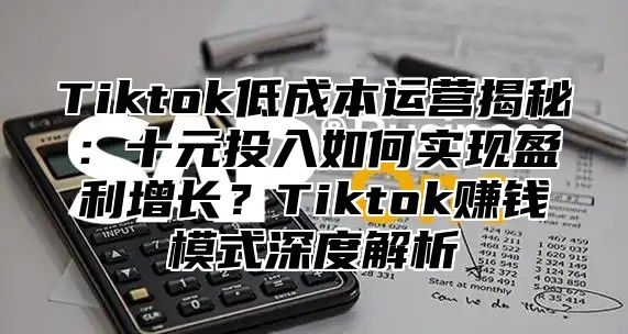 Tiktok低成本运营揭秘：十元投入如何实现盈利增长？Tiktok赚钱模式深度解析
