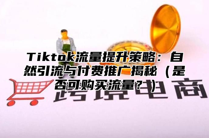 Tiktok流量提升策略：自然引流与付费推广揭秘是否可购买流量？