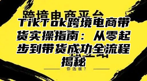 TikTok跨境电商带货实操指南：从零起步到带货成功全流程揭秘