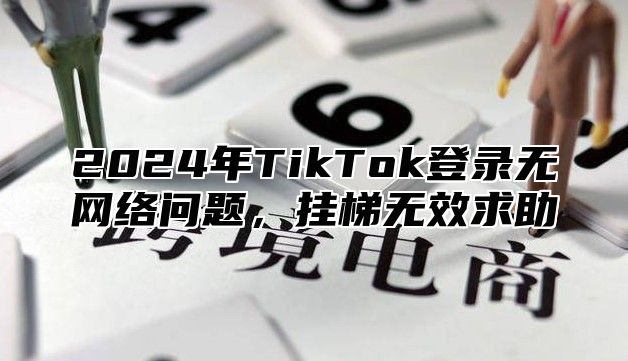 2025年TikTok登录无网络问题，挂梯无效求助