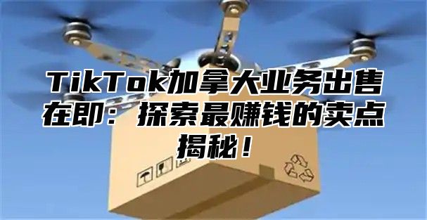 TikTok加拿大业务出售在即：探索最赚钱的卖点揭秘！