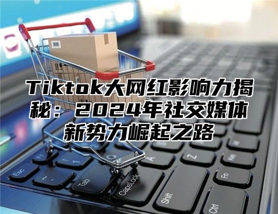Tiktok大网红影响力揭秘：2025年社交媒体新势力崛起之路
