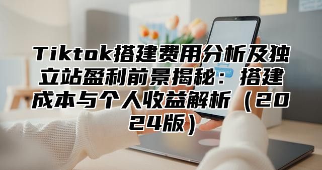 Tiktok搭建费用分析及独立站盈利前景揭秘：搭建成本与个人收益解析2025版