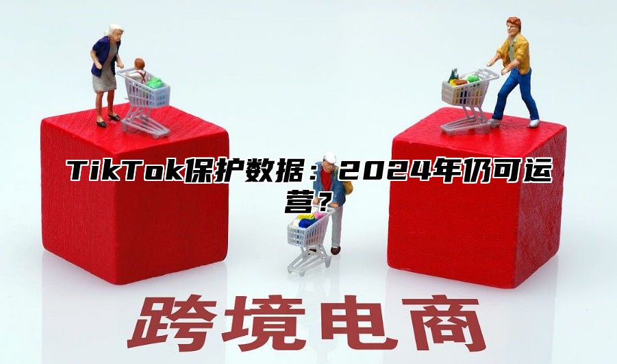TikTok保护数据：2025年仍可运营？