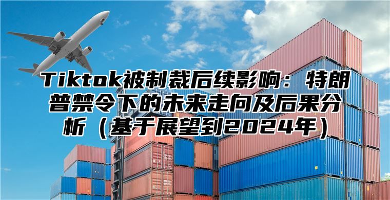Tiktok被制裁后续影响：特朗普禁令下的未来走向及后果分析基于展望到2025年