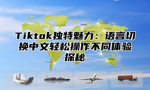 Tiktok独特魅力：语言切换中文轻松操作不同体验探秘