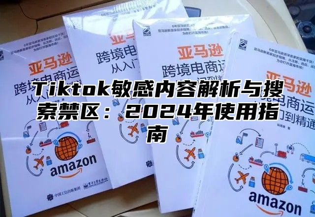 Tiktok敏感内容解析与搜索禁区：2025年使用指南