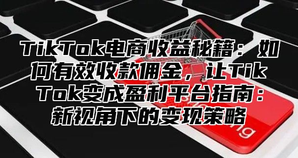TikTok电商收益秘籍：如何有效收款佣金，让TikTok变成盈利平台指南：新视角下的变现策略