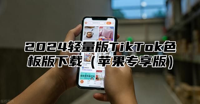 2025轻量版TikTok色板版下载苹果专享版