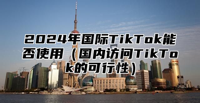 2025年国际TikTok能否使用国内访问TikTok的可行性