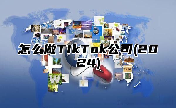 怎么做TikTok公司(2025)