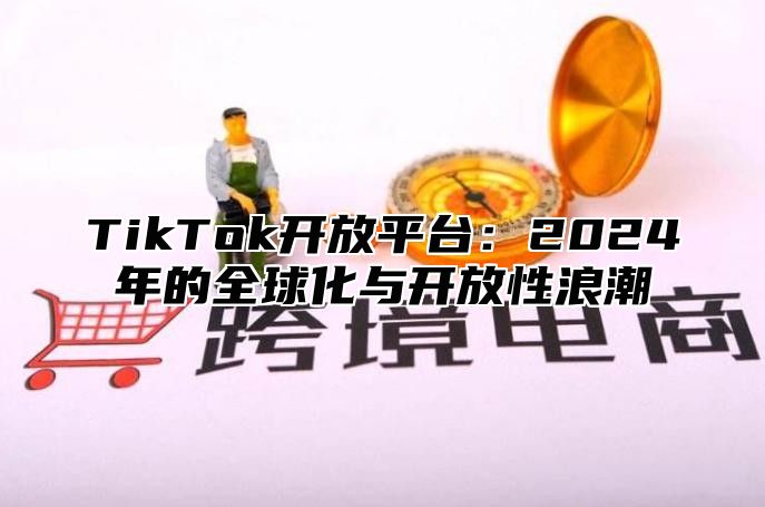 TikTok开放平台：2025年的全球化与开放性浪潮