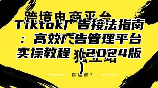 Tiktok广告接法指南：高效广告管理平台实操教程2025版