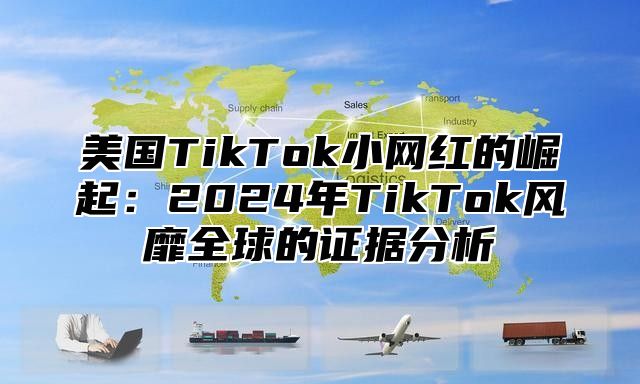 美国TikTok小网红的崛起：2025年TikTok风靡全球的证据分析